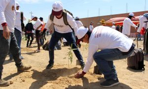 GUIA DEL VOLUNTARIADO