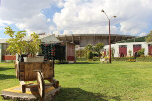 LÍNEAS DE ACCIÓN SOCIO AMBIENTAL 2023