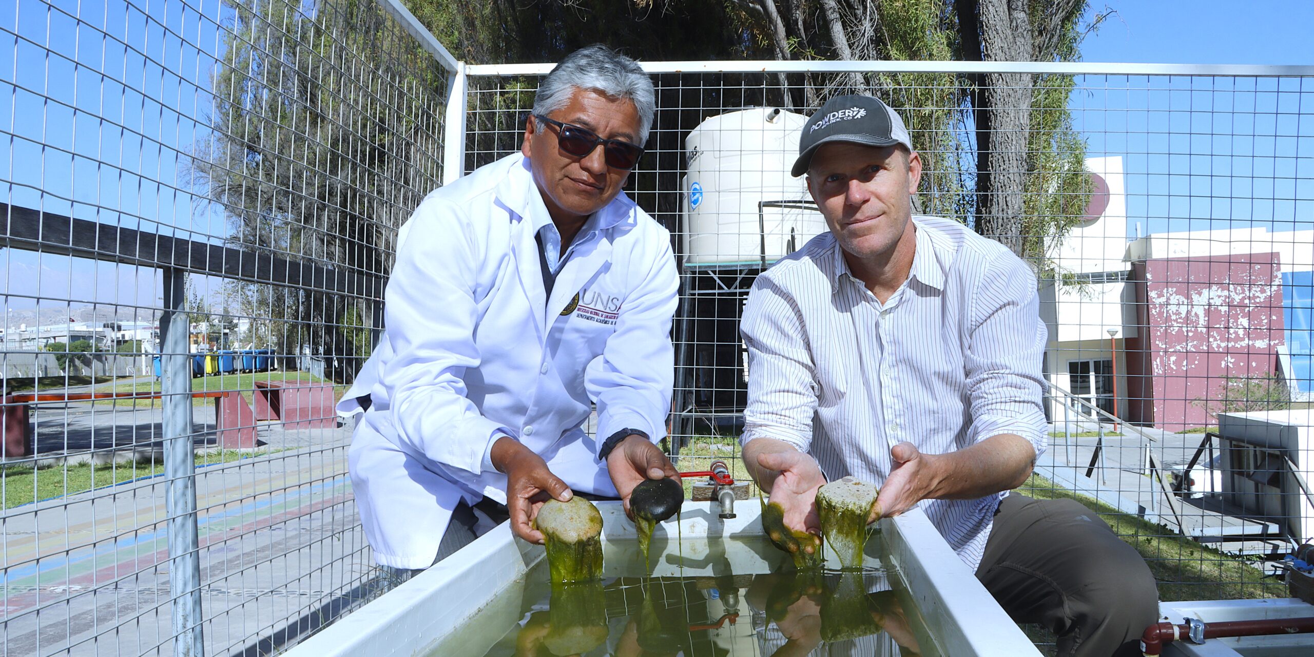 Identifican las microalgas y superficies más eficientes para limpiar aguas contaminadas en Arequipa