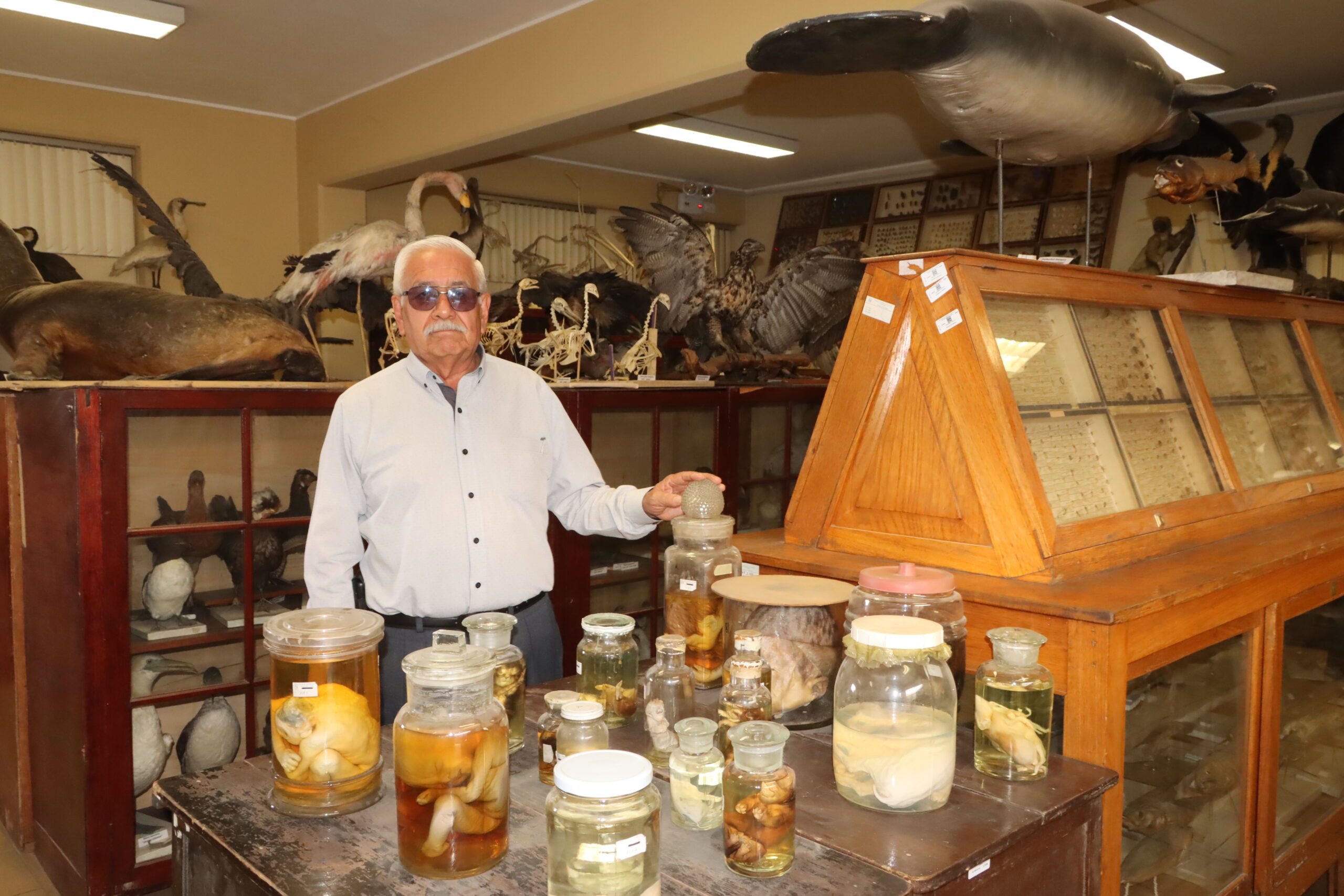 El MUSA abre sus puertas a la comunidad