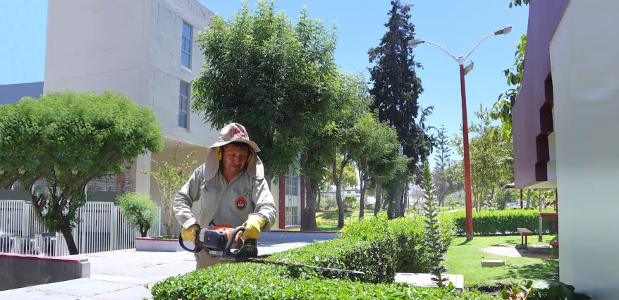 UNSA protege sus áreas verdes y ya suma 120 nuevos árboles plantados este año