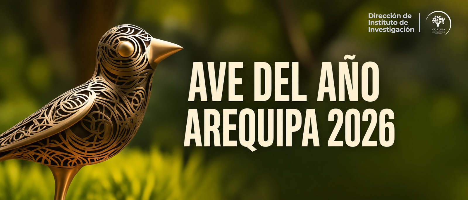 Gallinazo, cernícalo y búho compiten por ser “Ave del Año Arequipa 2026”
